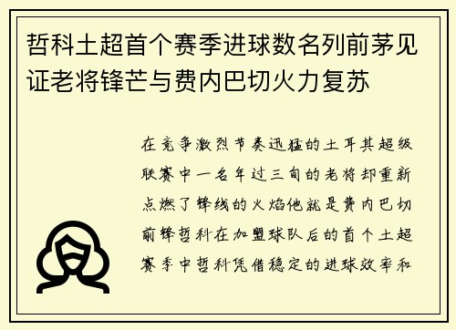 哲科土超首个赛季进球数名列前茅见证老将锋芒与费内巴切火力复苏